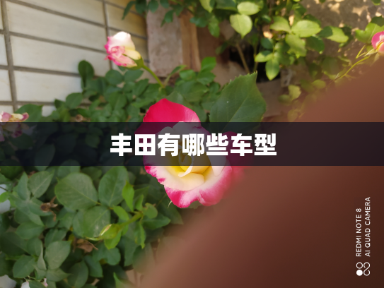 丰田有哪些车型