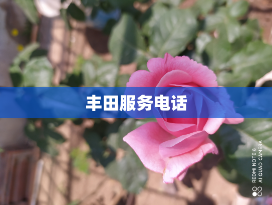 丰田服务电话