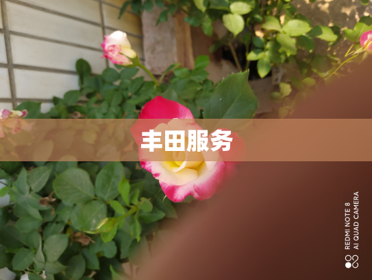 丰田服务