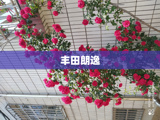 丰田朗逸