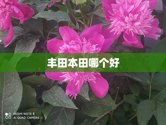 丰田本田哪个好