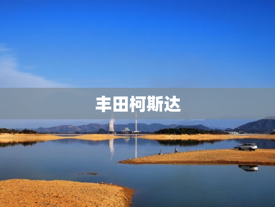 丰田柯斯达
