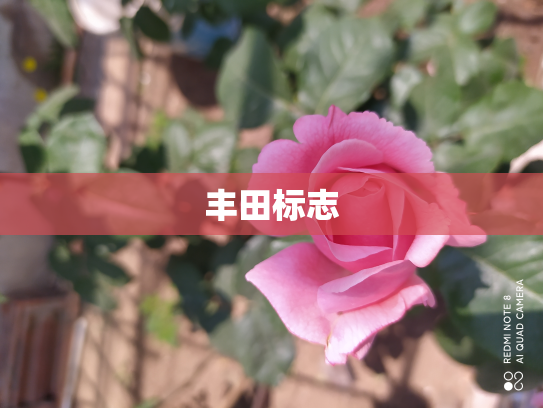 丰田标志