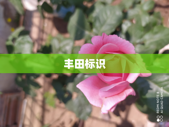 丰田标识