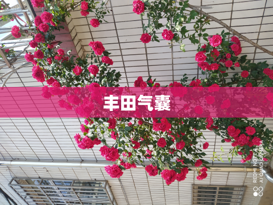 丰田气囊