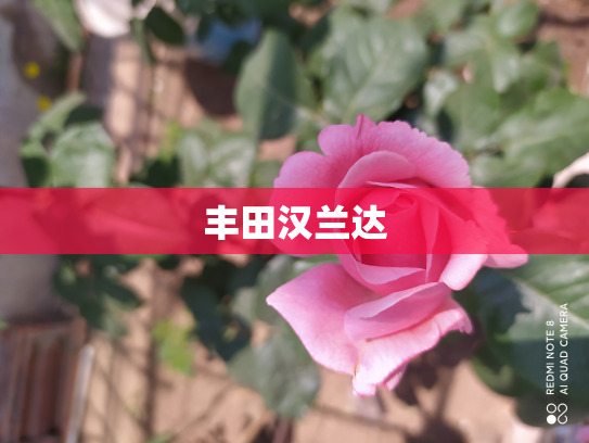 丰田汉兰达