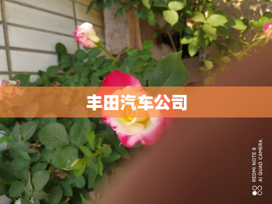 丰田汽车公司