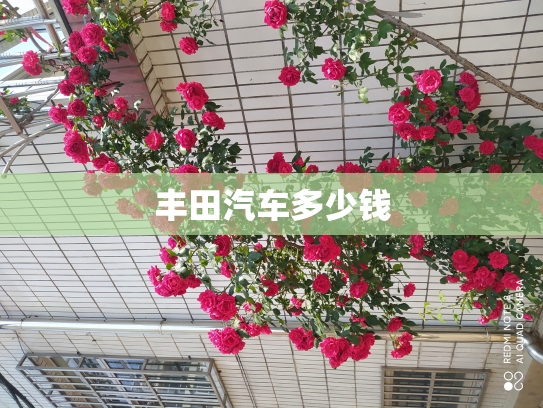 丰田汽车多少钱
