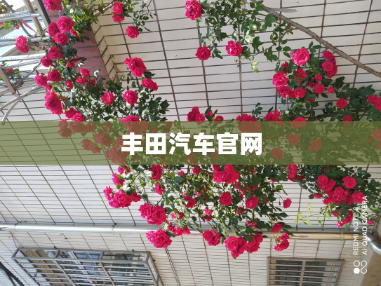 丰田汽车官网