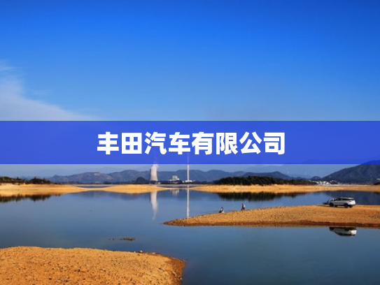 丰田汽车有限公司