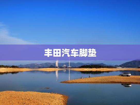 丰田汽车脚垫