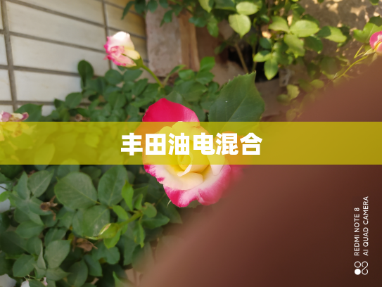 丰田油电混合