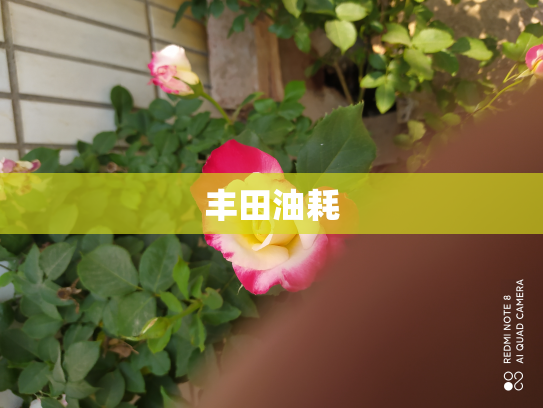丰田油耗
