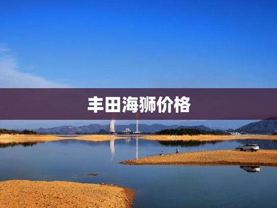 丰田海狮价格