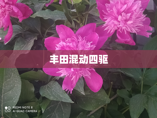 丰田混动四驱