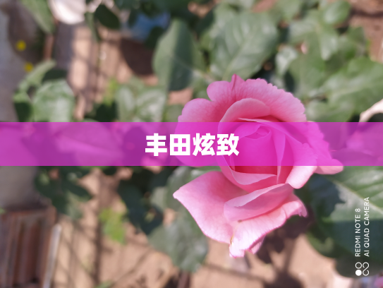 丰田炫致