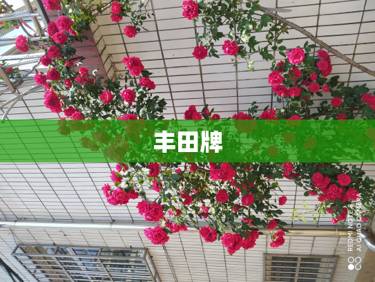 丰田牌