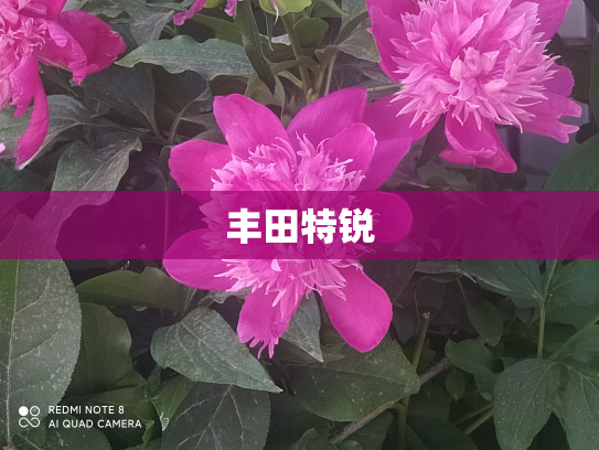 丰田特锐