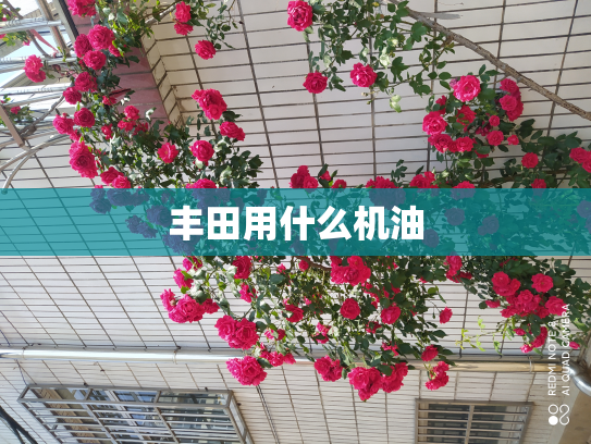 丰田用什么机油