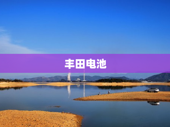 丰田电池