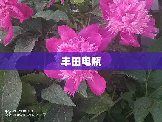 丰田电瓶