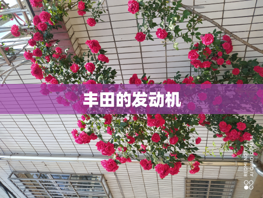 丰田的发动机