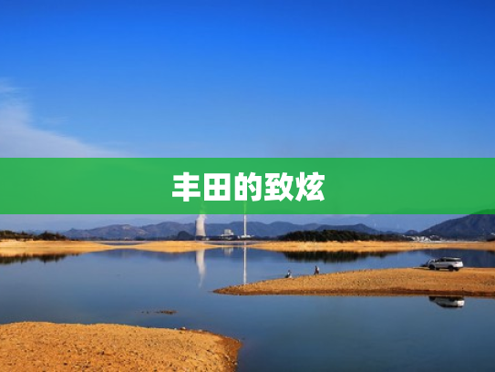 丰田的致炫