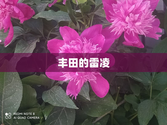 丰田的雷凌