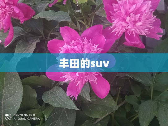 丰田的suv