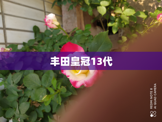丰田皇冠13代