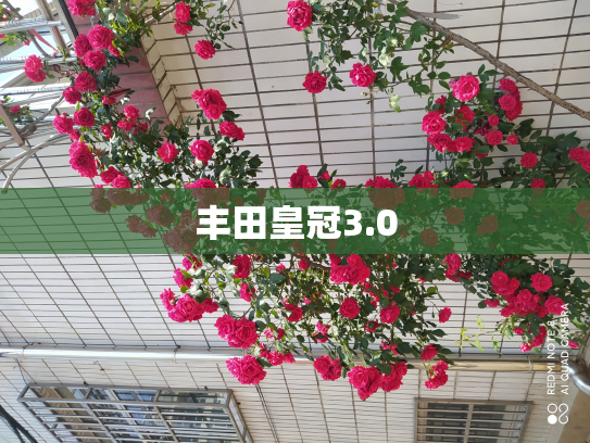 丰田皇冠3.0