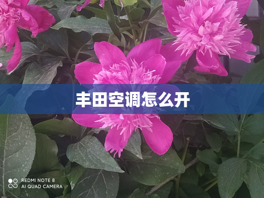 丰田空调怎么开