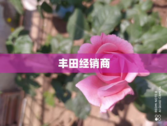 丰田经销商