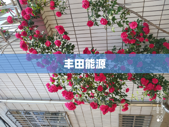 丰田能源