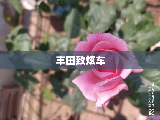 丰田致炫车