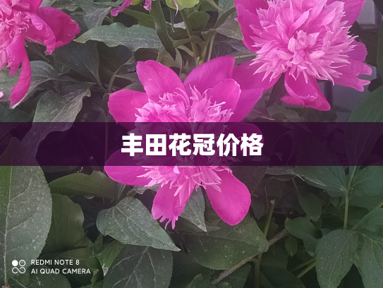 丰田花冠价格