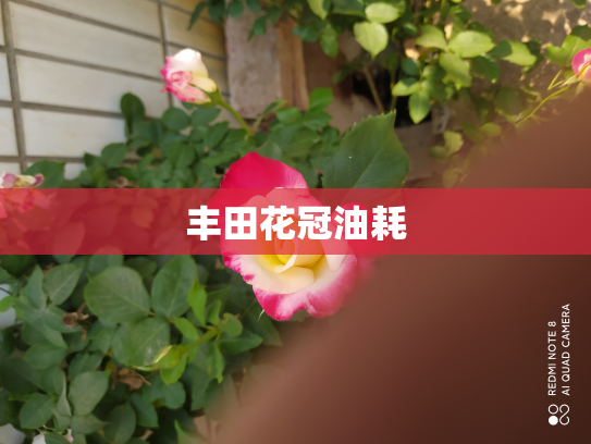 丰田花冠油耗
