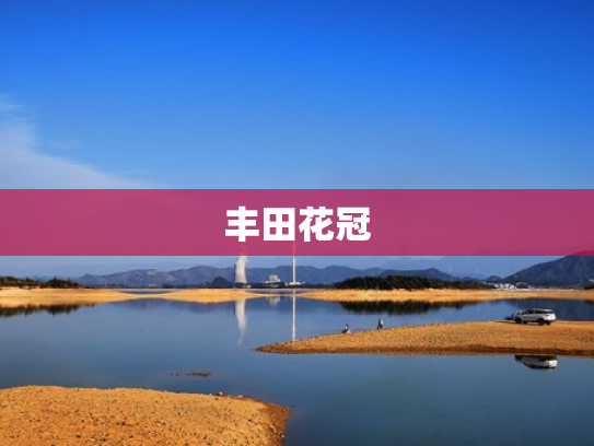 丰田花冠