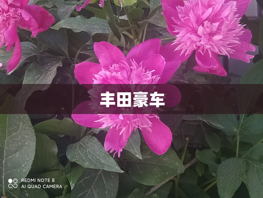 丰田豪车