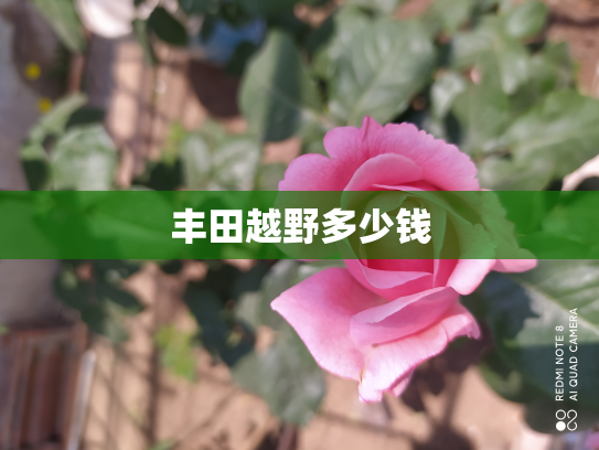 丰田越野多少钱