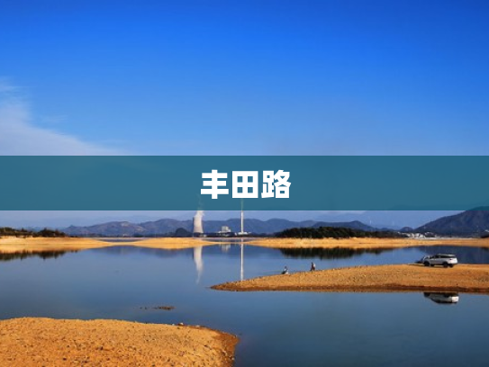 丰田路