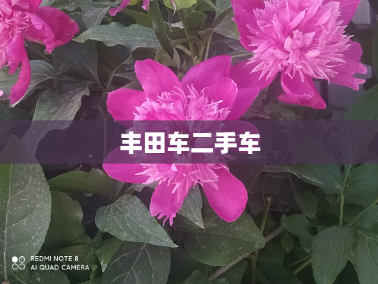 丰田车二手车