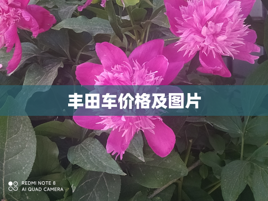 丰田车价格及图片