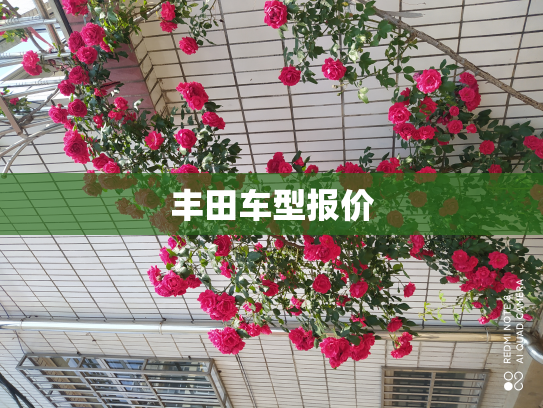 丰田车型报价