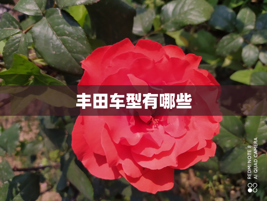 丰田车型有哪些