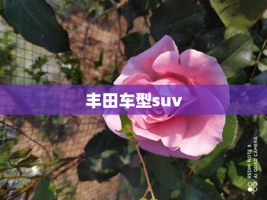 丰田车型suv