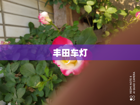 丰田车灯