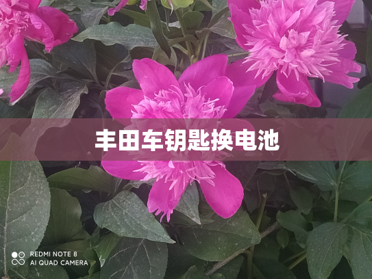 丰田车钥匙换电池