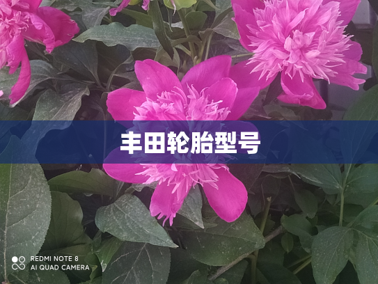 丰田轮胎型号