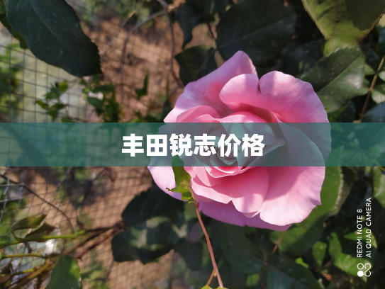 丰田锐志价格